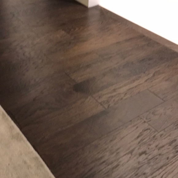 Meet your Posher, Francesca - Picture 1 of 1